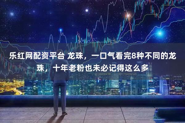 乐红网配资平台 龙珠，一口气看完8种不同的龙珠，十年老粉也未必记得这么多